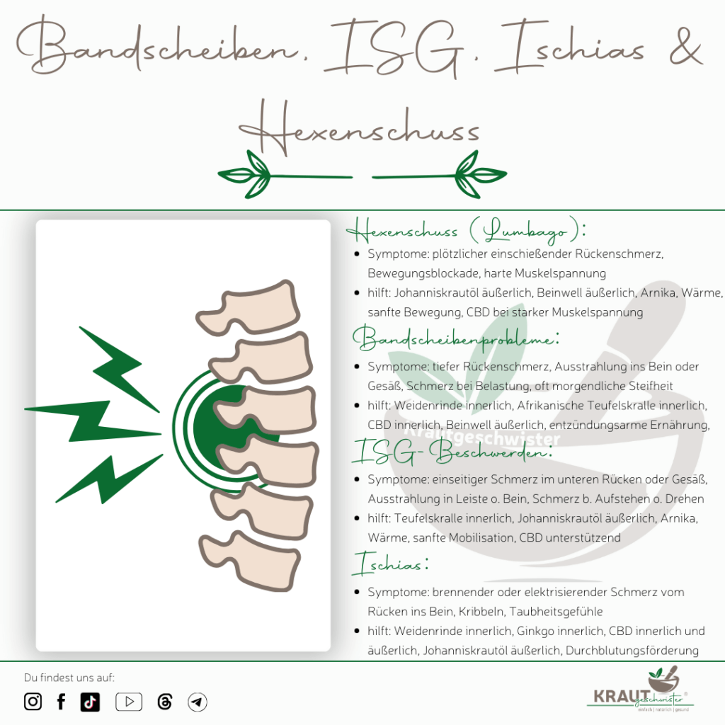 Bandscheiben, ISG, Ischias & Hexenschuss