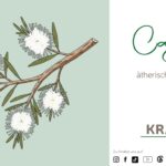 Cajeput ätherisches Öl Profil