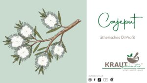 Cajeput &auml;therisches &Ouml;l Profil