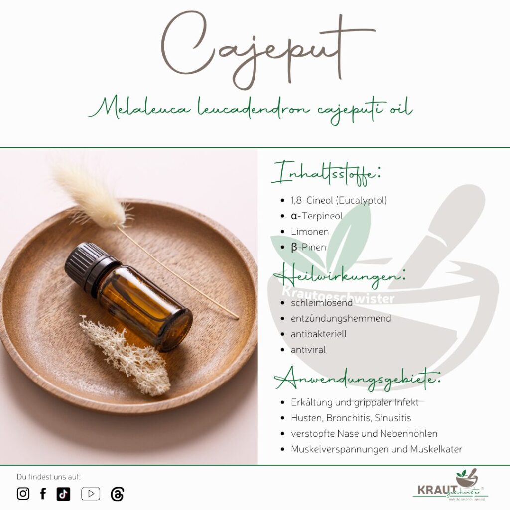 Cajeput &auml;therisches &Ouml;l Profil