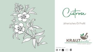 Cistrose &auml;therisches &Ouml;l Profil