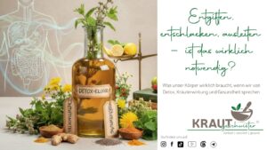 Entgiften, entschlacken, ausleiten &ndash; ist das wirklich notwendig?