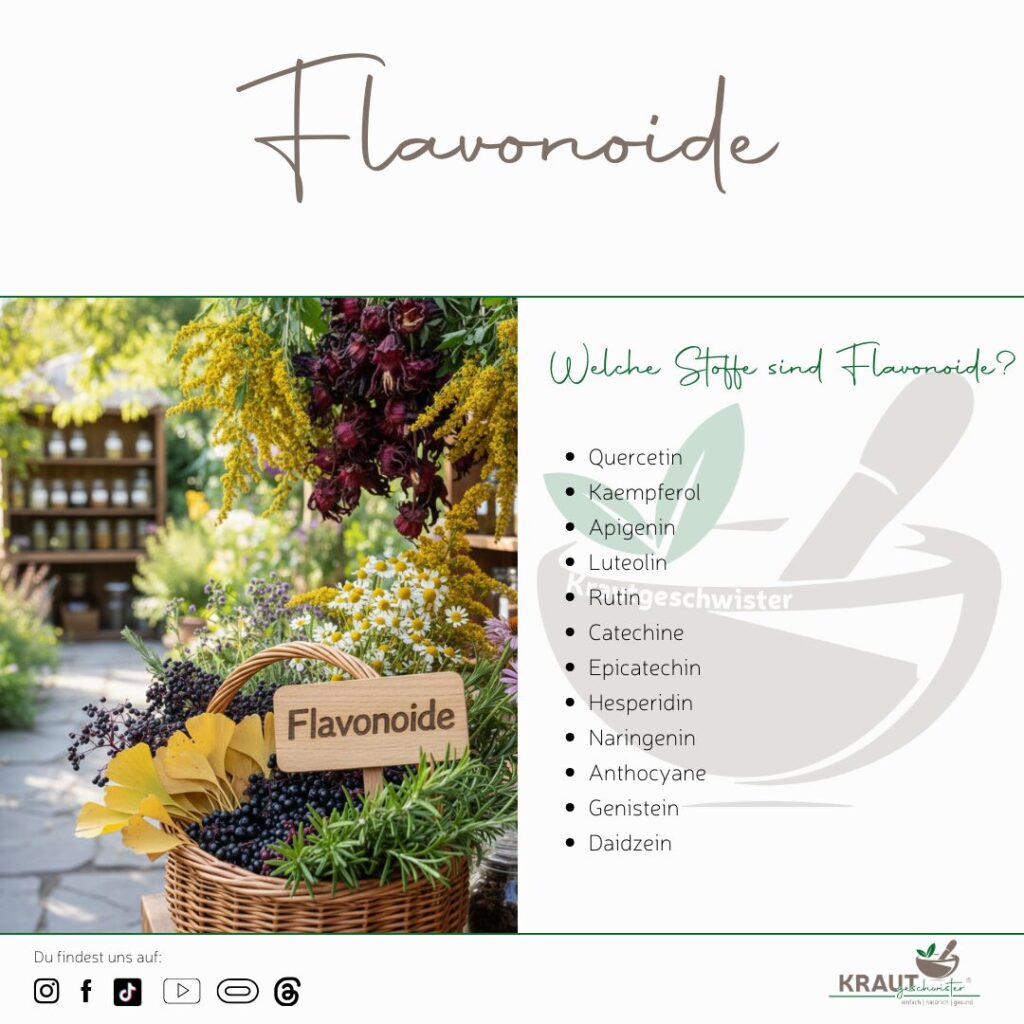 Flavonoide und ihre Wirkung