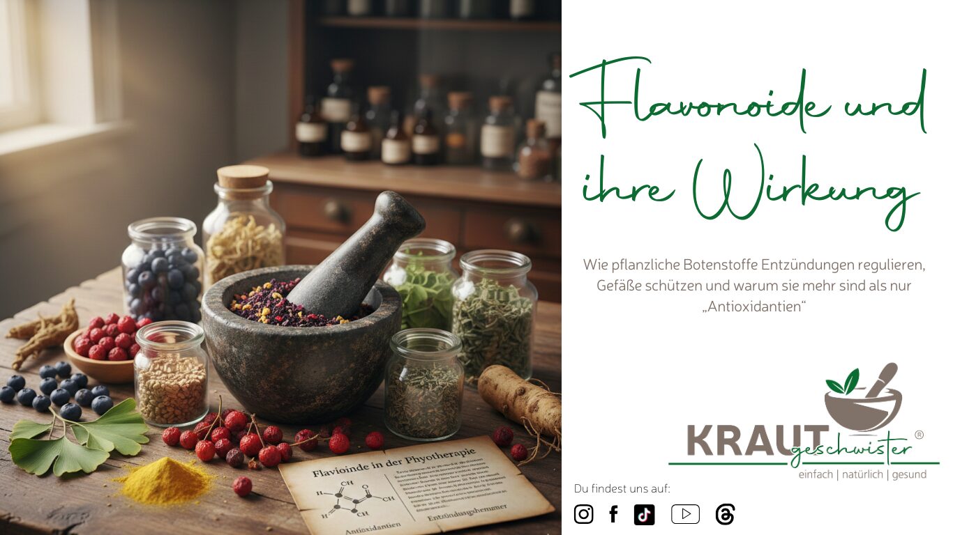 Flavonoide und ihre Wirkung