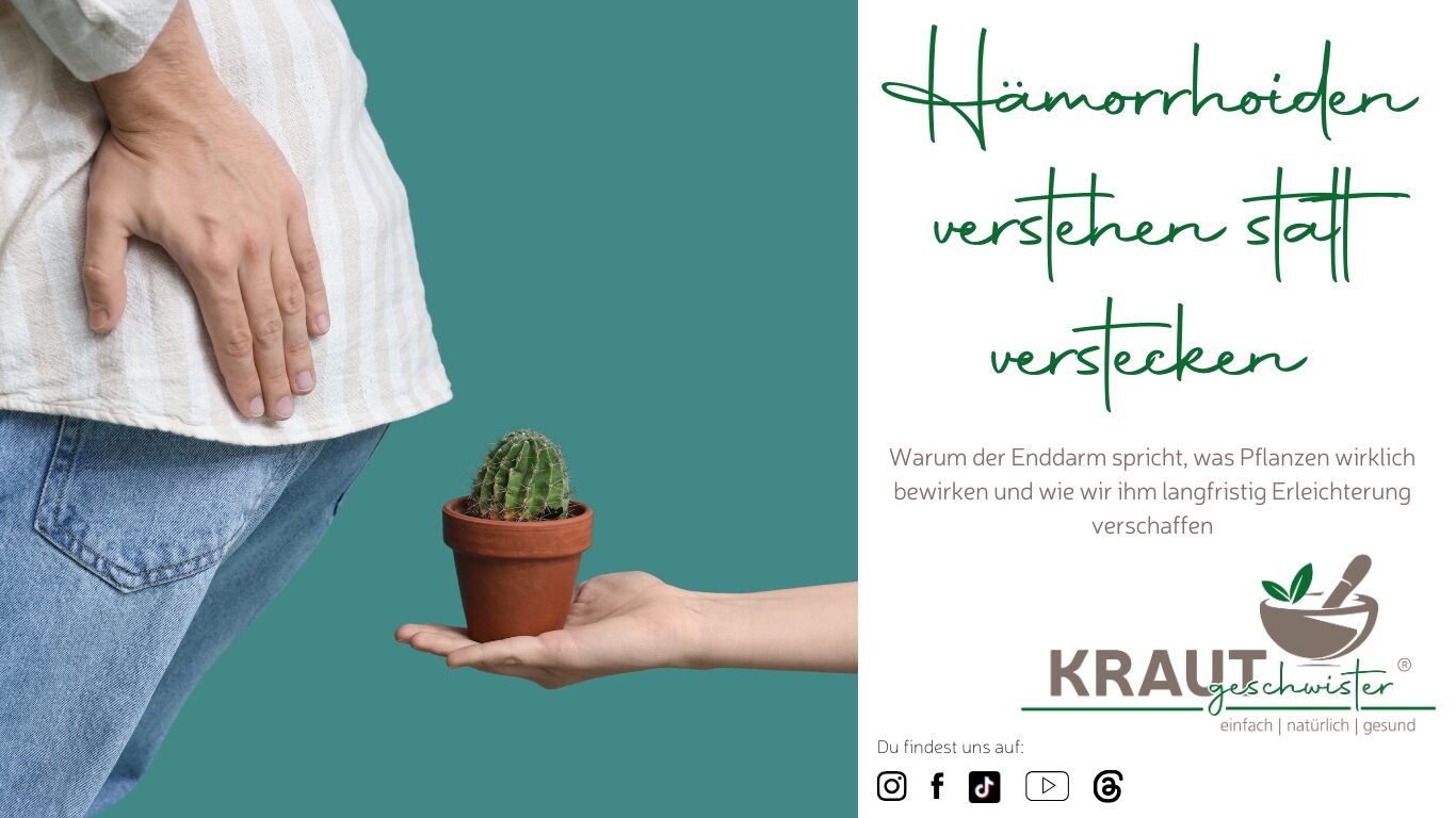 Mehr über den Artikel erfahren Hämorrhoiden verstehen statt verstecken