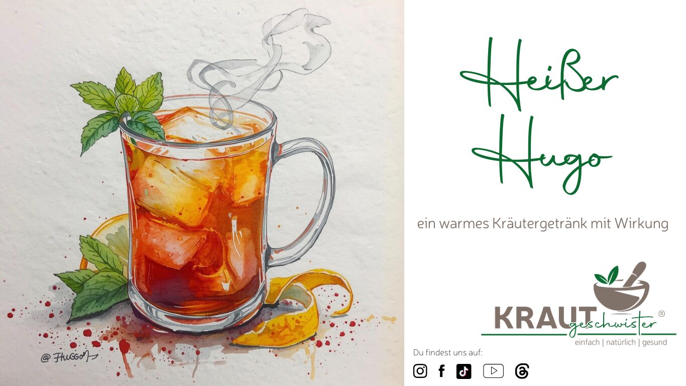 Hei&szlig;er Hugo &ndash; ein warmes Kr&auml;utergetr&auml;nk mit Wirkung
