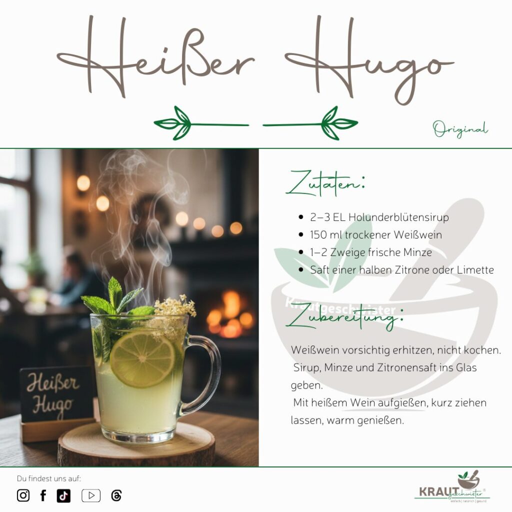 Hei&szlig;er Hugo &ndash; ein warmes Kr&auml;utergetr&auml;nk mit Wirkung
