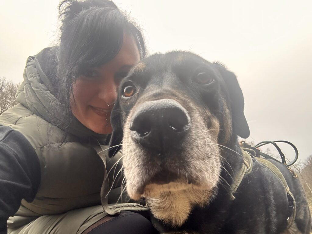 Der Pilz, der Eis frisiert