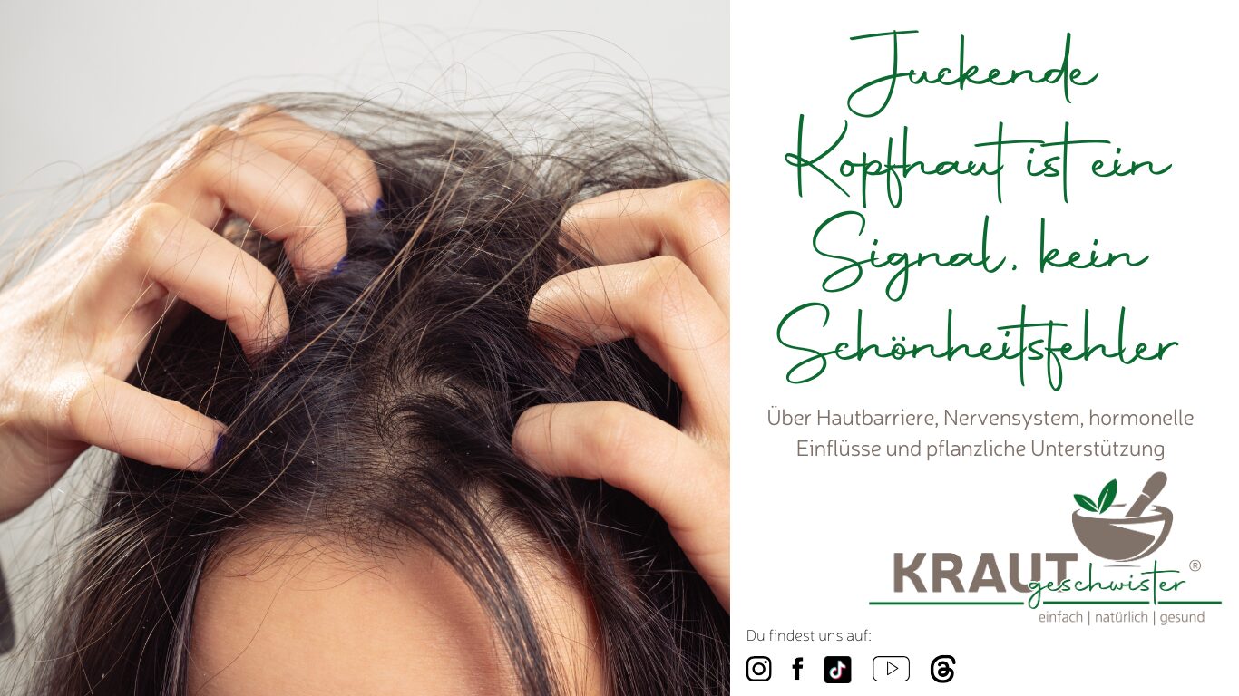 Mehr über den Artikel erfahren Juckende Kopfhaut ist ein Signal, kein Schönheitsfehler