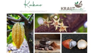 Kakao &ndash; mehr als Schokolade