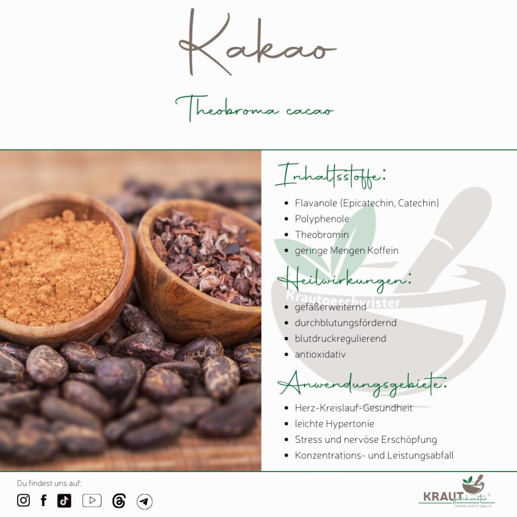 Kakao – mehr als Schokolade