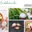 Knoblauch – Heilpflanzenportrait