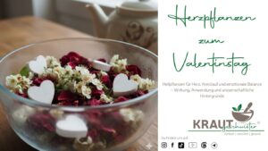 Herzpflanzen zum Valentinstag
