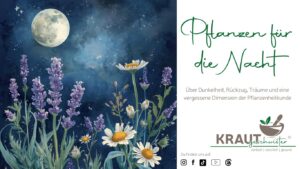 Pflanzen f&uuml;r die Nacht