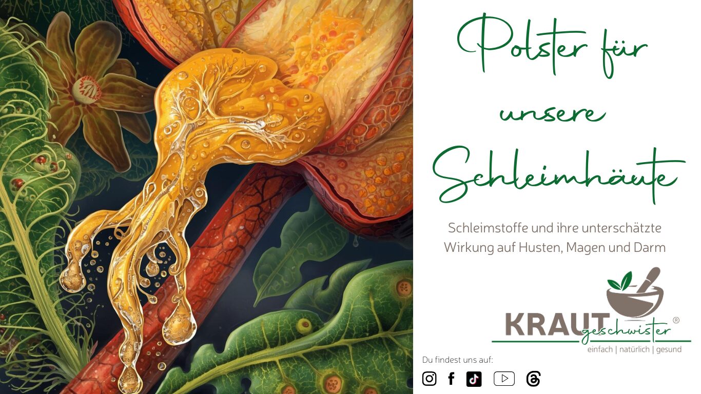 Polster für unsere Schleimhäute