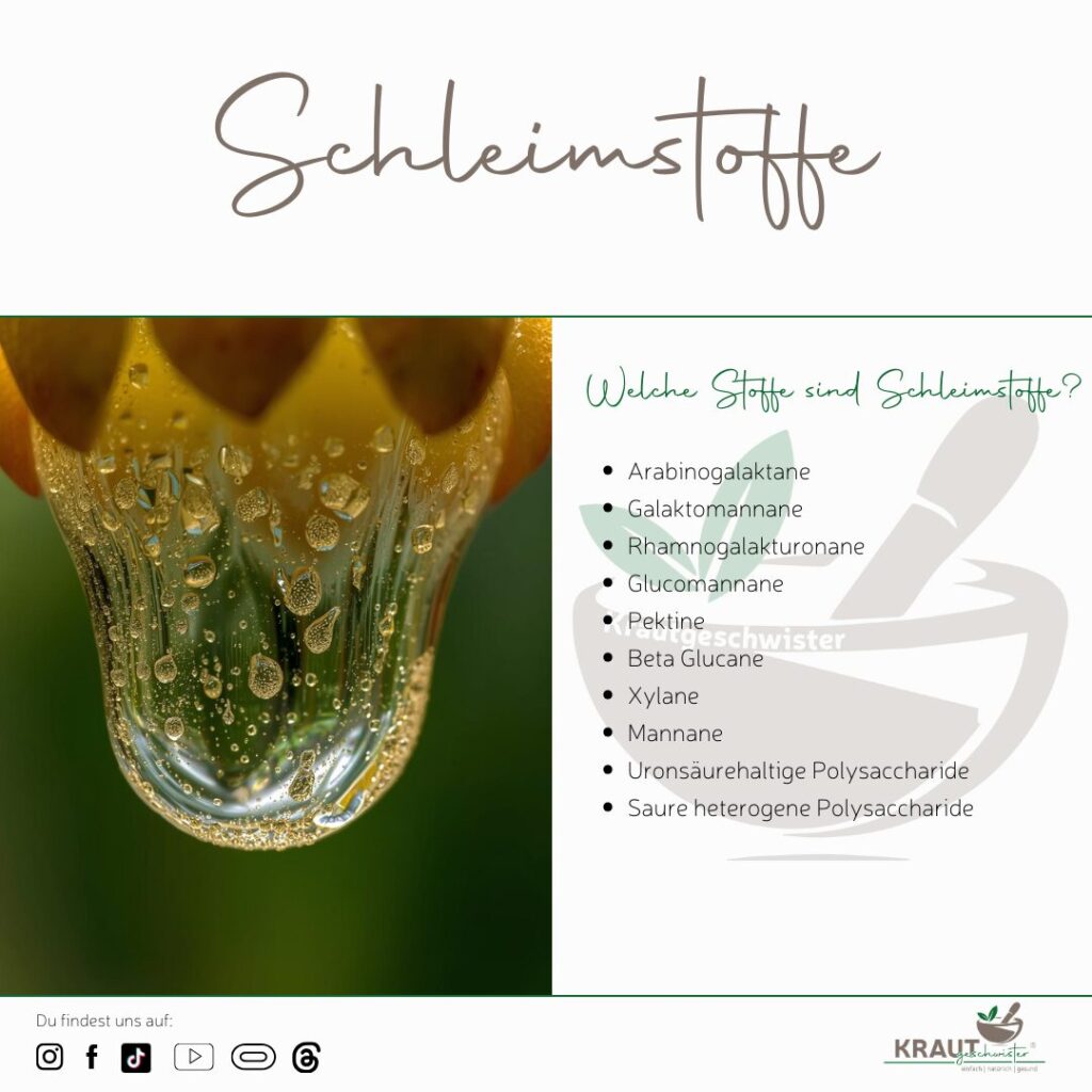 Polster für unsere Schleimhäute