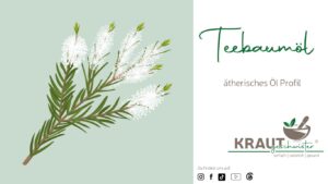 Teebaumöl ätherisches Öl Profil
