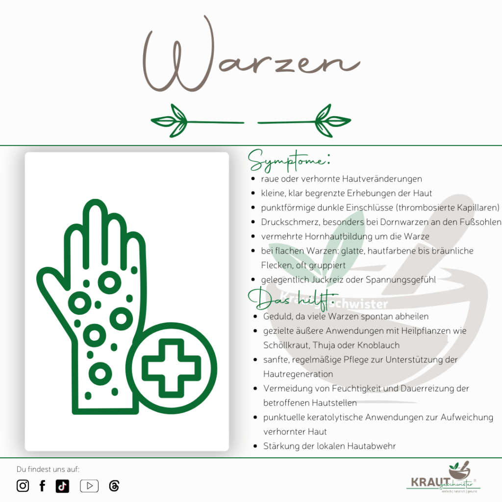 Warzen im Fokus