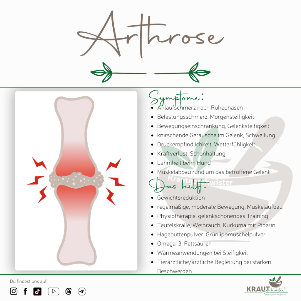 Arthrose