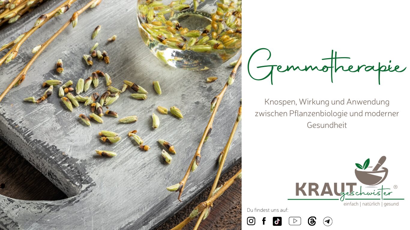 Mehr über den Artikel erfahren Gemmotherapie