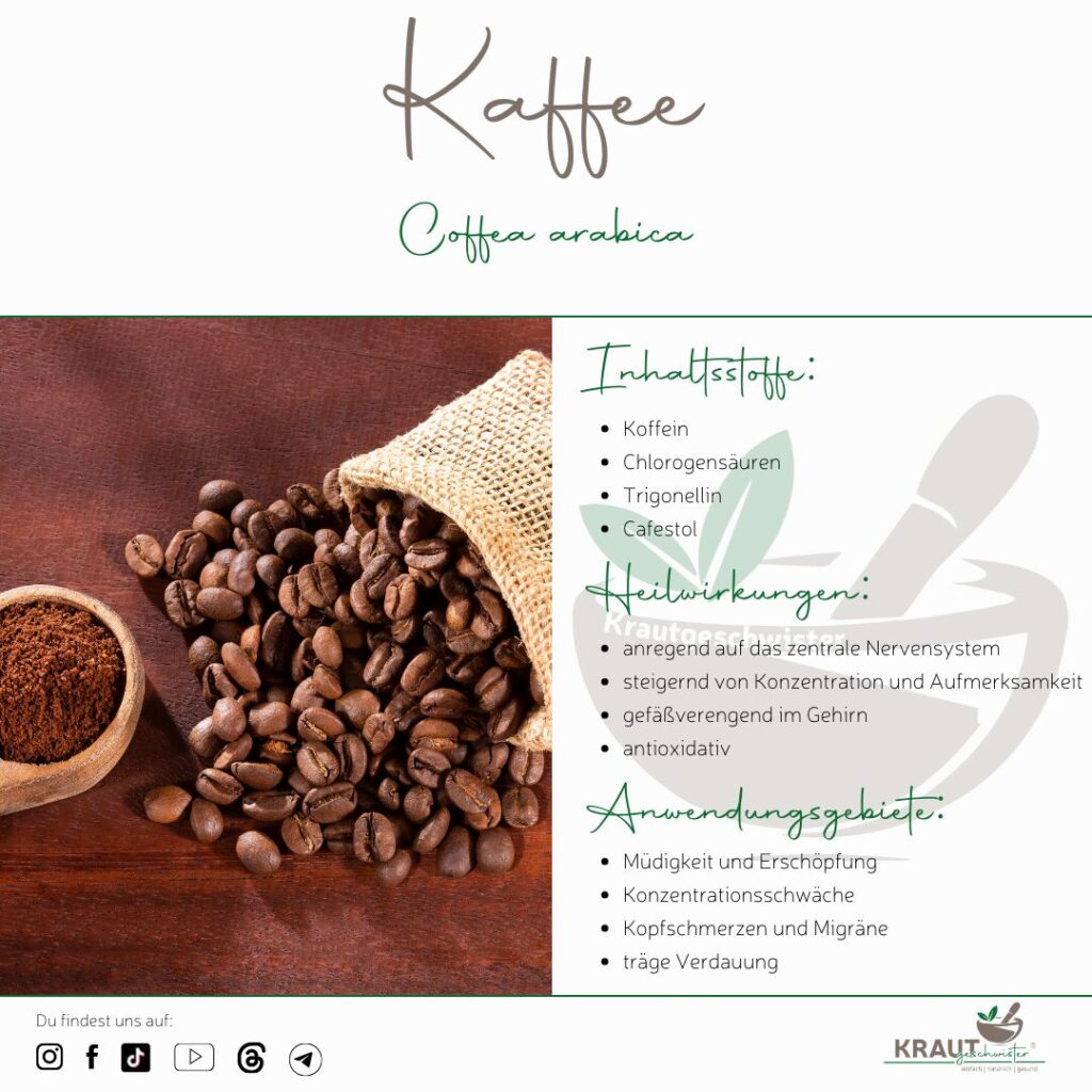 Kaffee – Heilpflanzenportrait