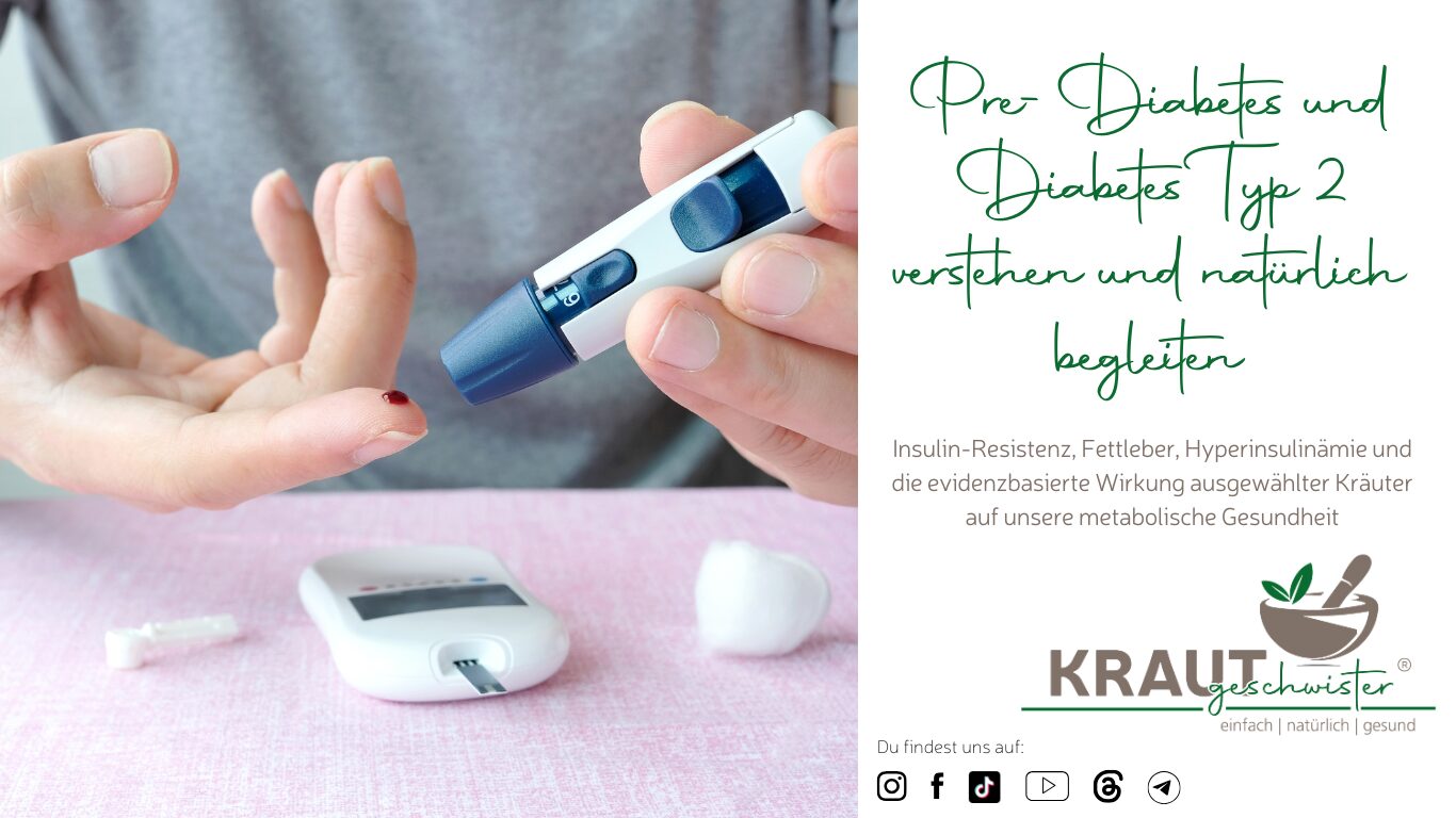 Mehr über den Artikel erfahren Pre-Diabetes und Diabetes Typ 2 verstehen und natürlich begleiten