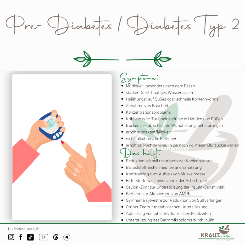 Pre-Diabetes und Diabetes Typ 2 verstehen und nat&uuml;rlich begleiten