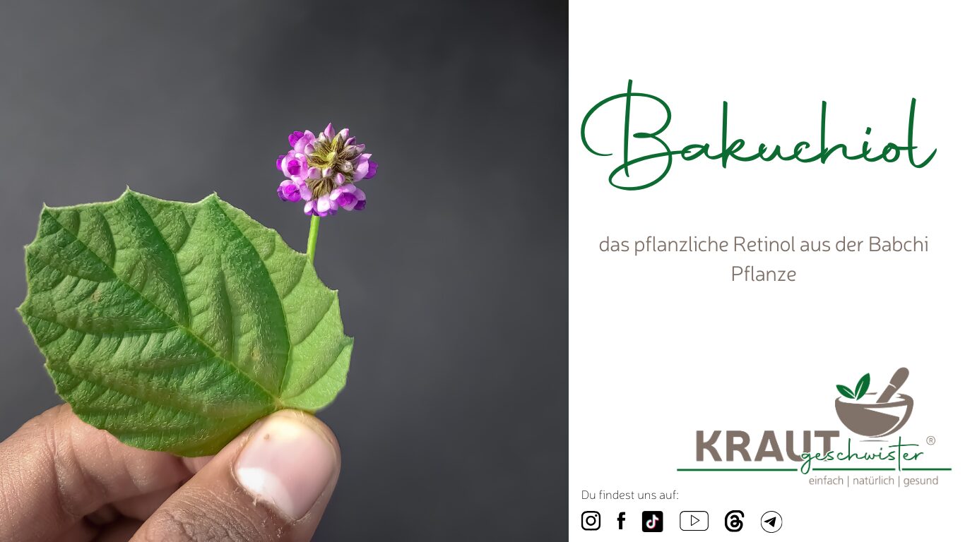 Mehr über den Artikel erfahren Bakuchiol – das pflanzliche Retinol aus der Babchi-Pflanze
