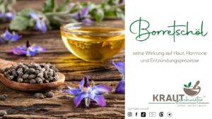Borretsch&ouml;l und seine Wirkung auf Haut, Hormone und Entz&uuml;ndungsprozesse