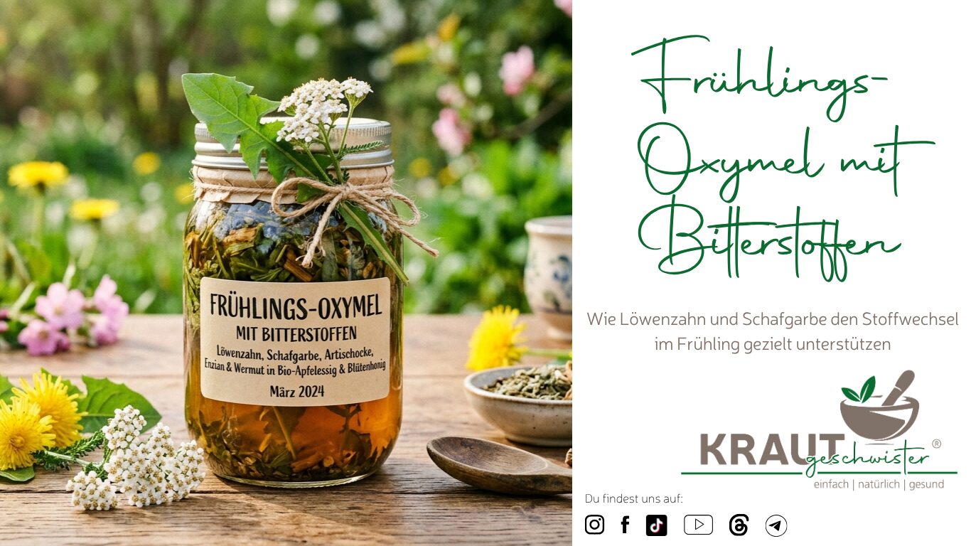 Mehr über den Artikel erfahren Frühlings-Oxymel mit Bitterstoffen