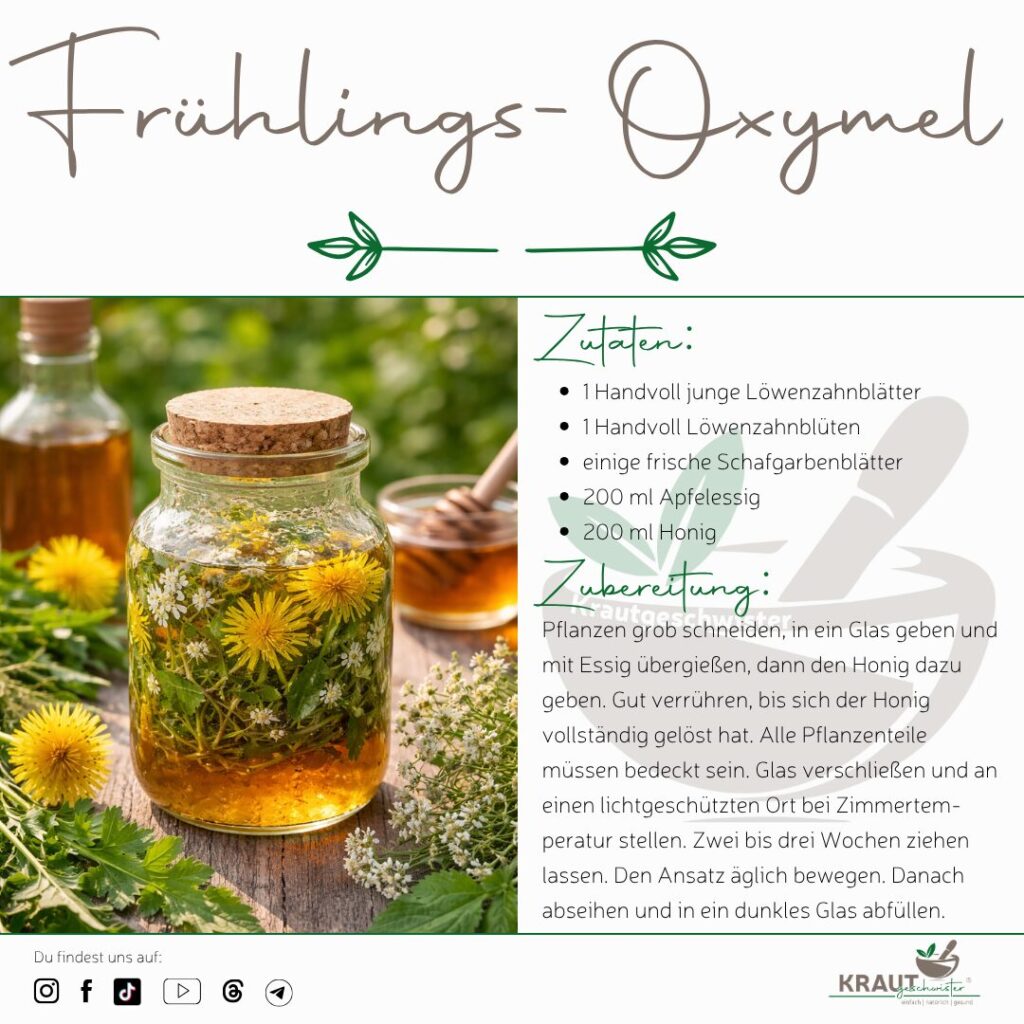 Frühlings-Oxymel mit Bitterstoffen