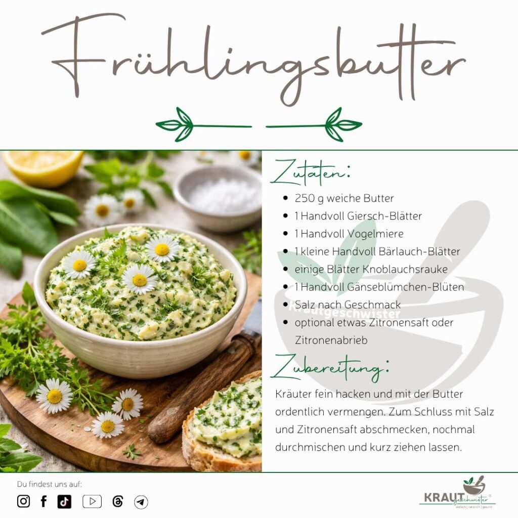 Fr&uuml;hlingsbutter mit G&auml;nsebl&uuml;mchen, B&auml;rlauch und Knoblauchsrauke