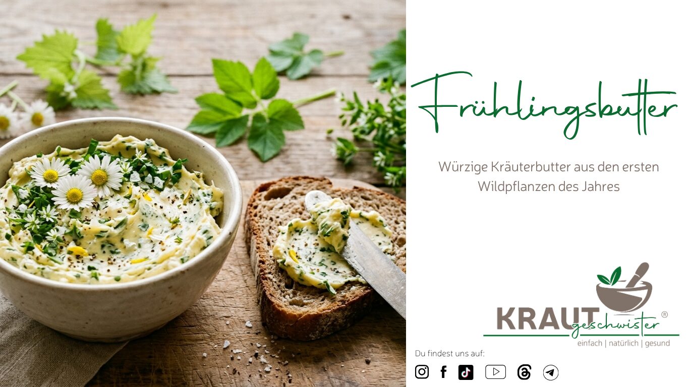 Mehr über den Artikel erfahren Frühlingsbutter mit Gänseblümchen, Bärlauch und Knoblauchsrauke