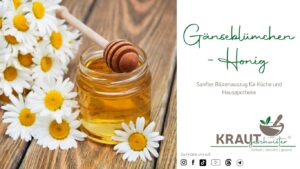 G&auml;nsebl&uuml;mchen-Honig selber machen