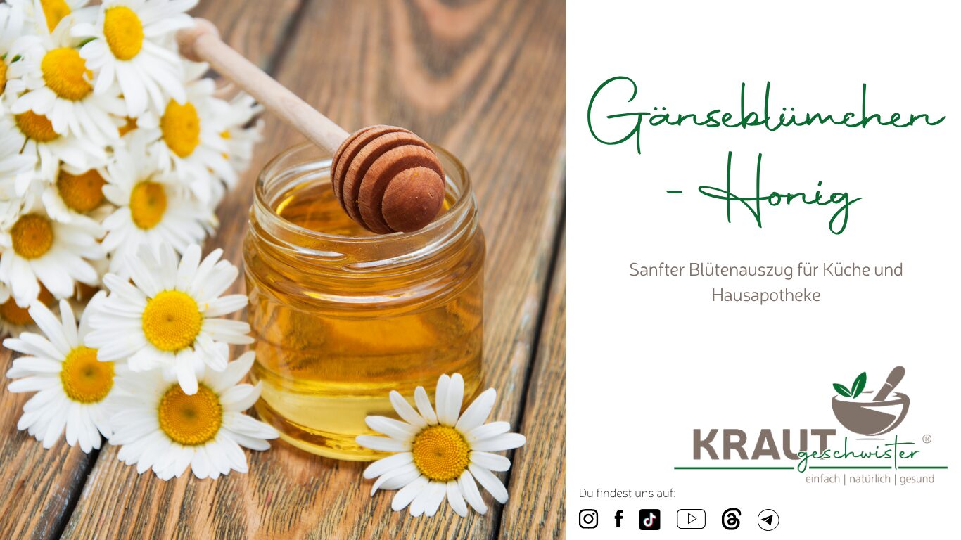 Mehr über den Artikel erfahren Gänseblümchen-Honig selber machen