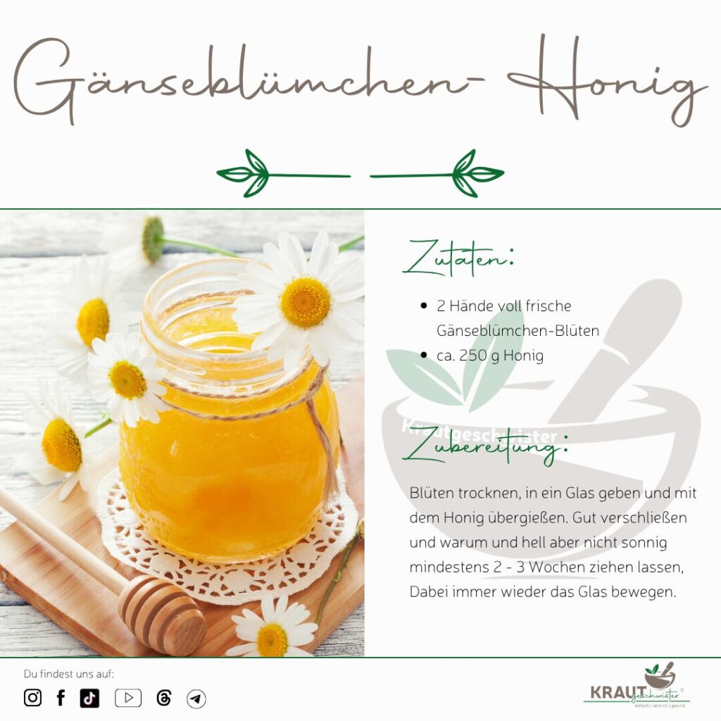 Gänseblümchen-Honig selber machen