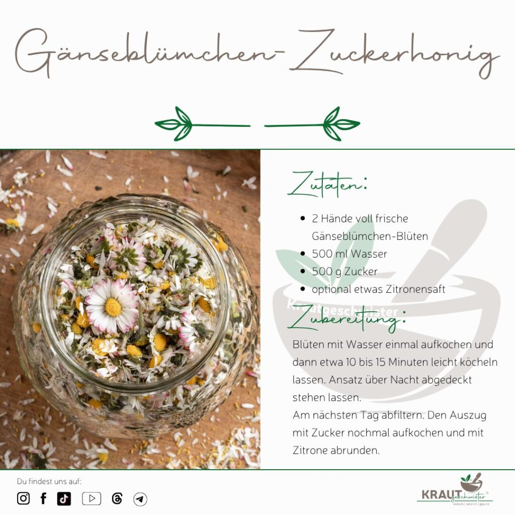 Gänseblümchen-Honig selber machen