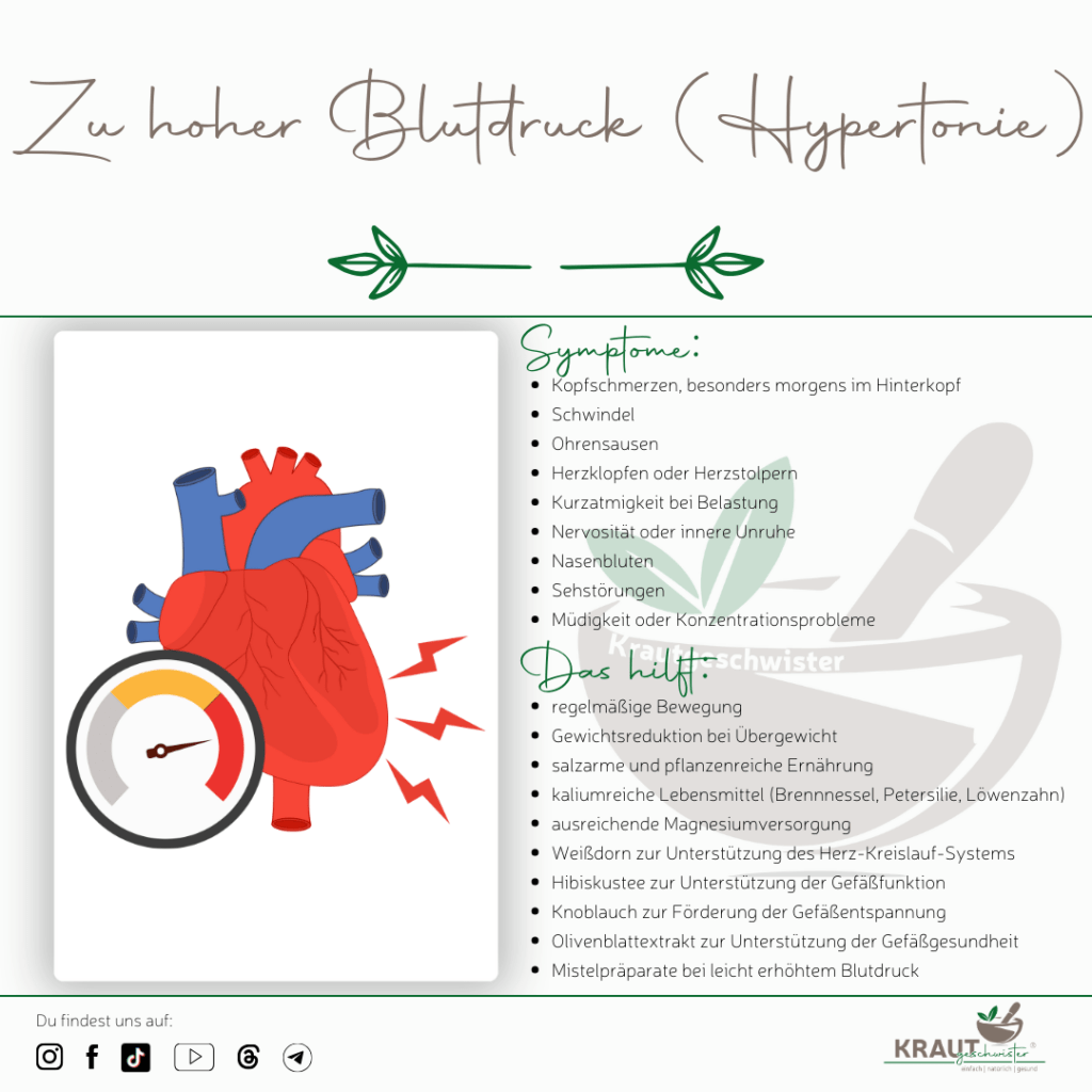 Wenn der Blutdruck aus dem Gleichgewicht ger&auml;t, brauchen Herz und Gef&auml;&szlig;e Unterst&uuml;tzung