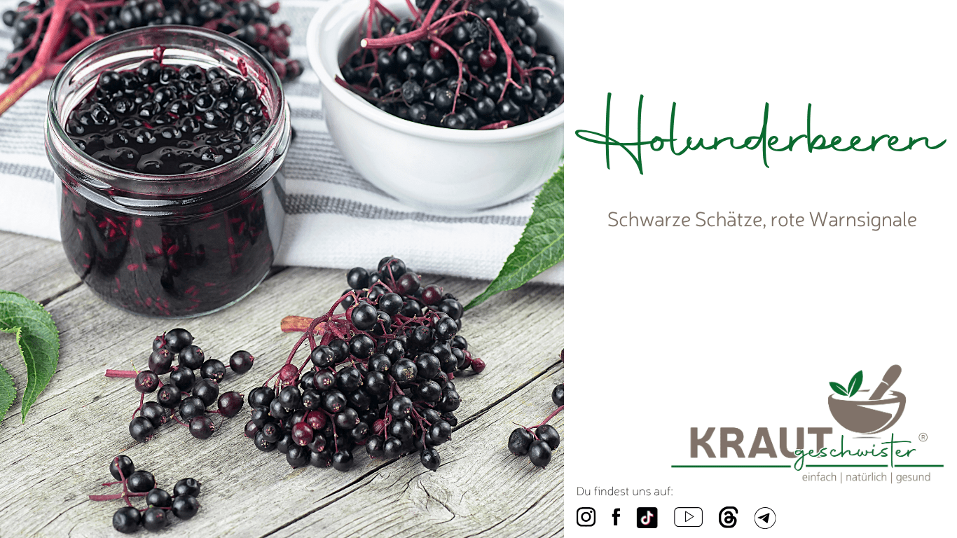 Holunderbeeren: Schwarze Sch&auml;tze, rote Warnsignale