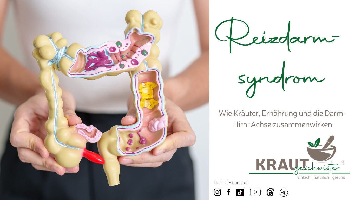 Mehr über den Artikel erfahren Reizdarmsyndrom ist mehr als ein empfindlicher Bauch