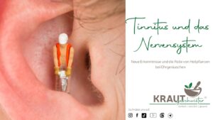 Tinnitus und das Nervensystem