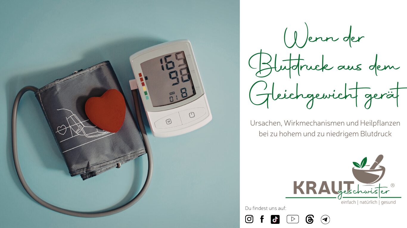 Mehr über den Artikel erfahren Wenn der Blutdruck aus dem Gleichgewicht gerät, brauchen Herz und Gefäße Unterstützung