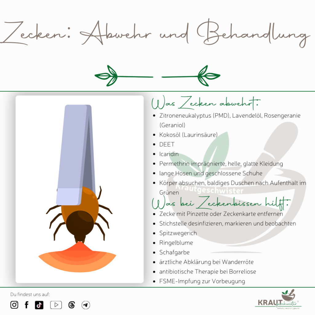 Zecken nat&uuml;rlich abwehren und Zeckenbisse richtig behandeln