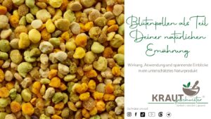 Bl&uuml;tenpollen als Teil Deiner nat&uuml;rlichen Ern&auml;hrung