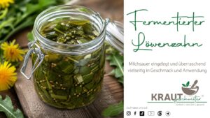 Fermentierter Löwenzahn
