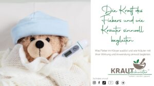 Die Kraft des Fiebers und wie Kräuter sinnvoll begleiten