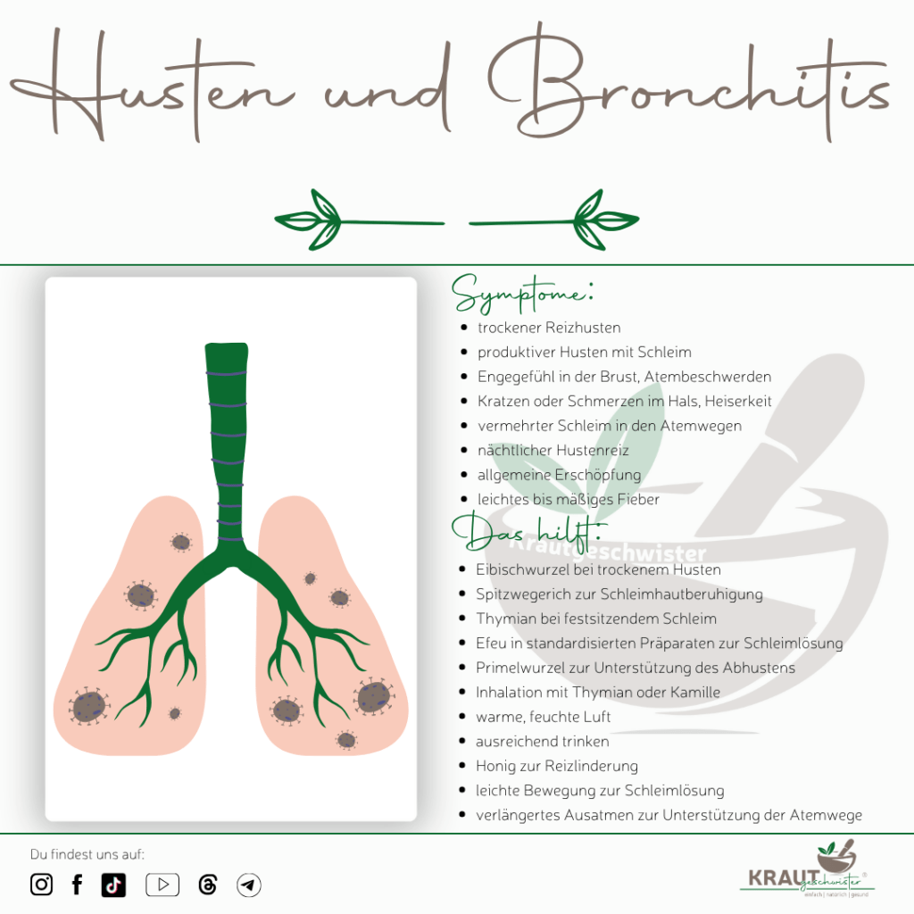 Husten und Bronchitis nat&uuml;rlich begleiten