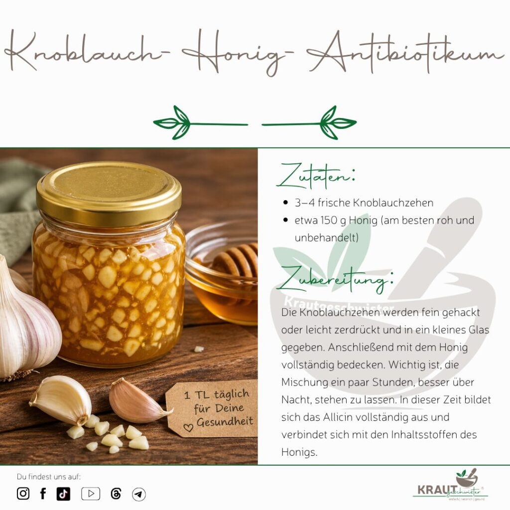 Nat&uuml;rliche Antibiotika aus dem Kr&auml;utergarten