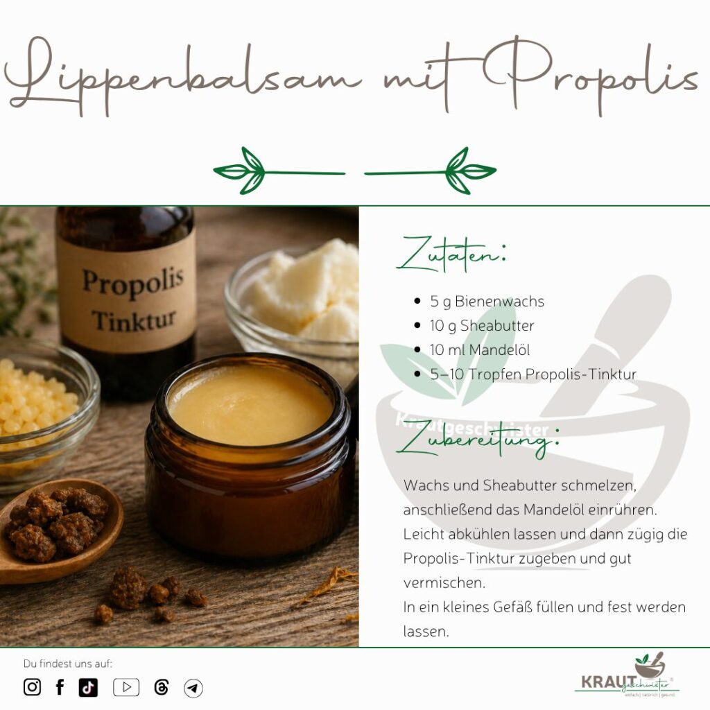 Lippenpflege mit Propolis