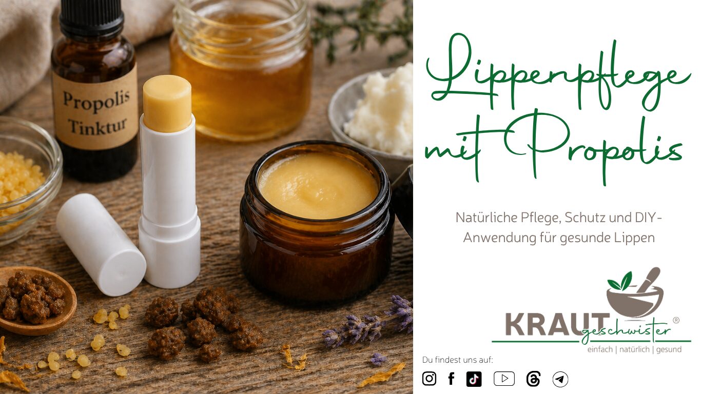 Lippenpflege mit Propolis